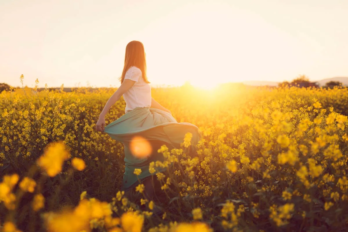 Donna con i capelli lunghi in piedi in un campo giallo in fiore e rivolta verso il tramonto. Donna con i capelli lunghi in piedi in un campo giallo in fiore e rivolta verso il tramonto.