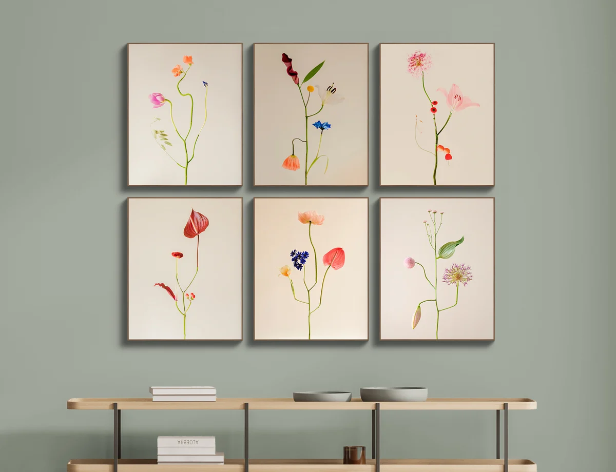 flower creatures, bound species with beige background. flower creatures, bound species with beige background.