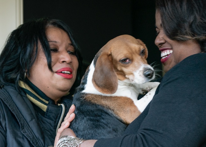 Beagle named Charlie reunited with his owner after three weeks, thanks to Neighbors App community members.