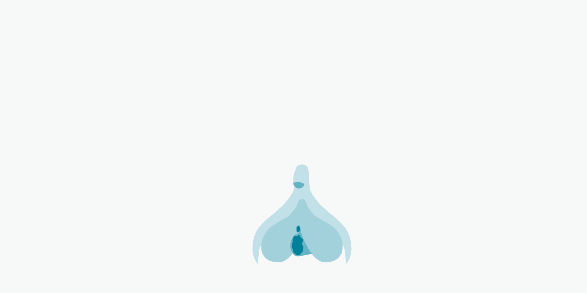 1-Clitoris