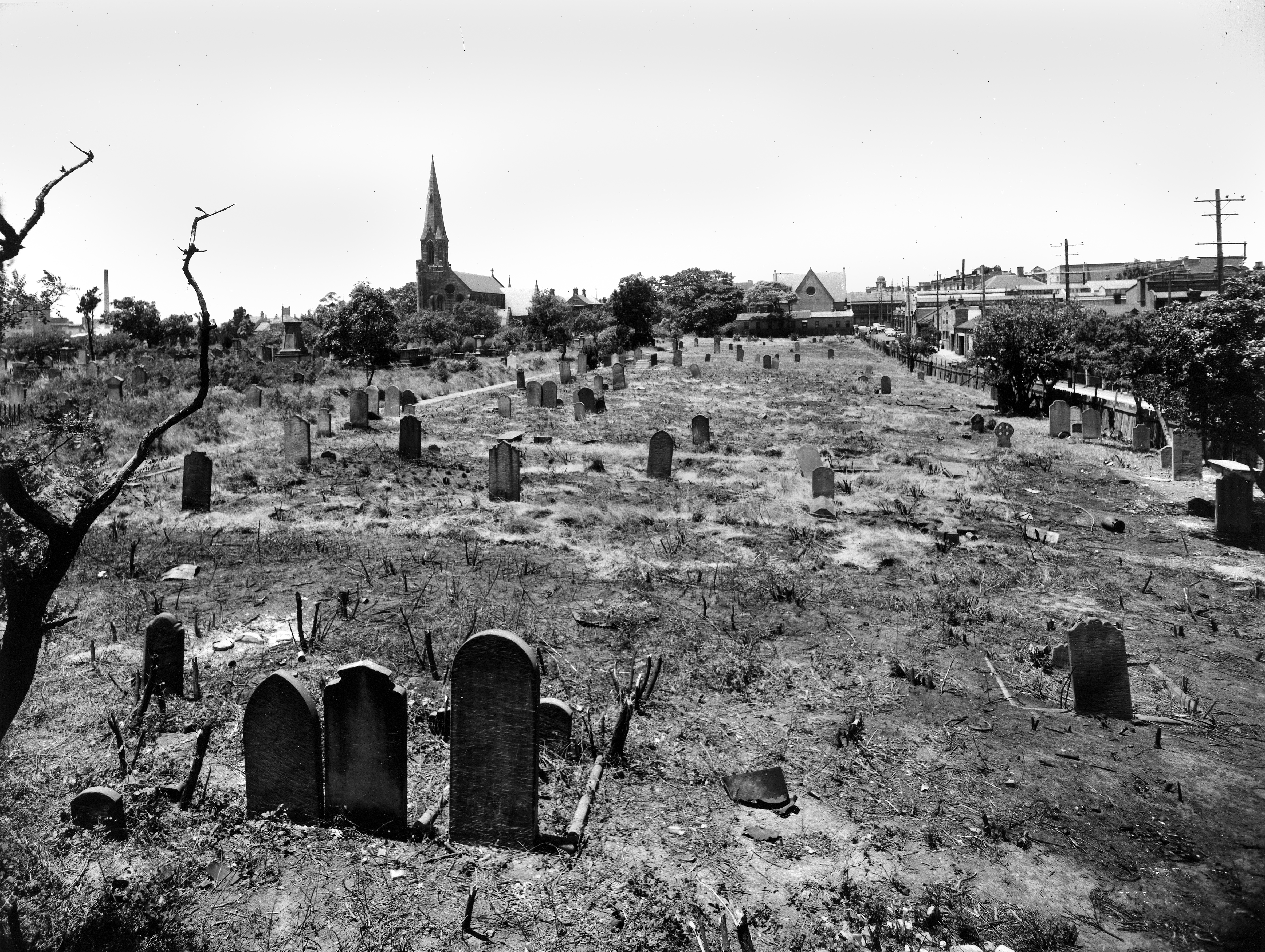 View of Camperdown Cemetery from Australia Street, Newtown, 1951. (City of Sydney Archives, A-00008214)