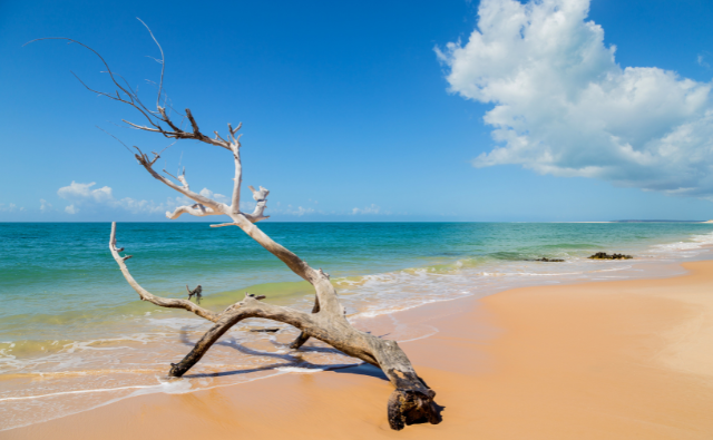 Mozambique