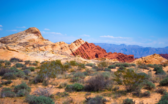 Nevada - Online Degree