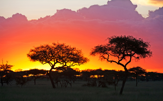 Tanzania