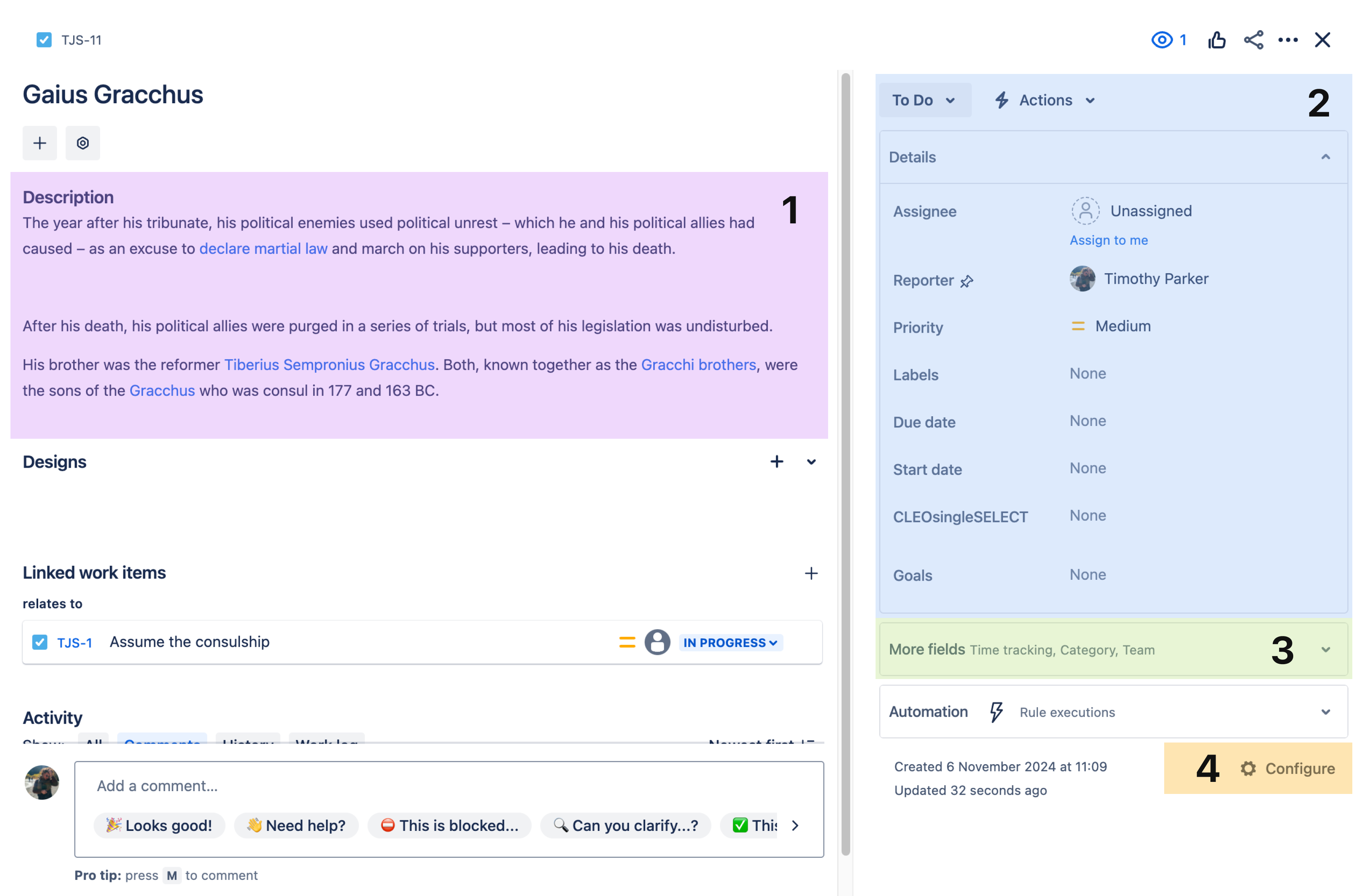 Image that shows fields in the issue view.