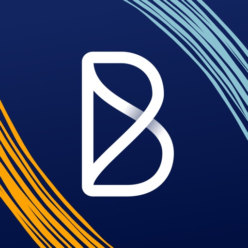 Blink - The Frontline App Logo