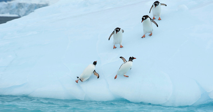 Product Team Failing With Kanban? You Are Not the Only Ones