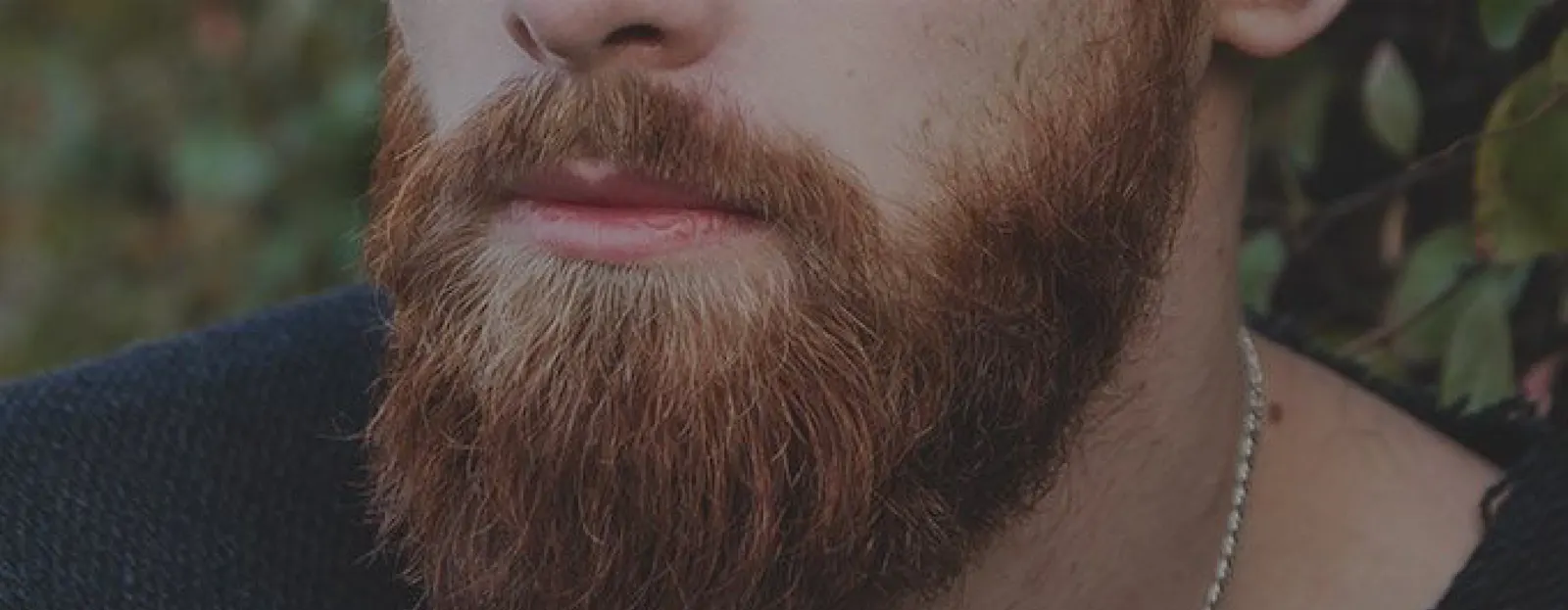 Barba hipster
