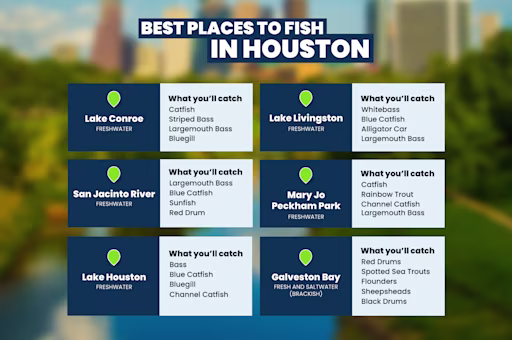 Where to fish in Houston: 6 places to cast your line