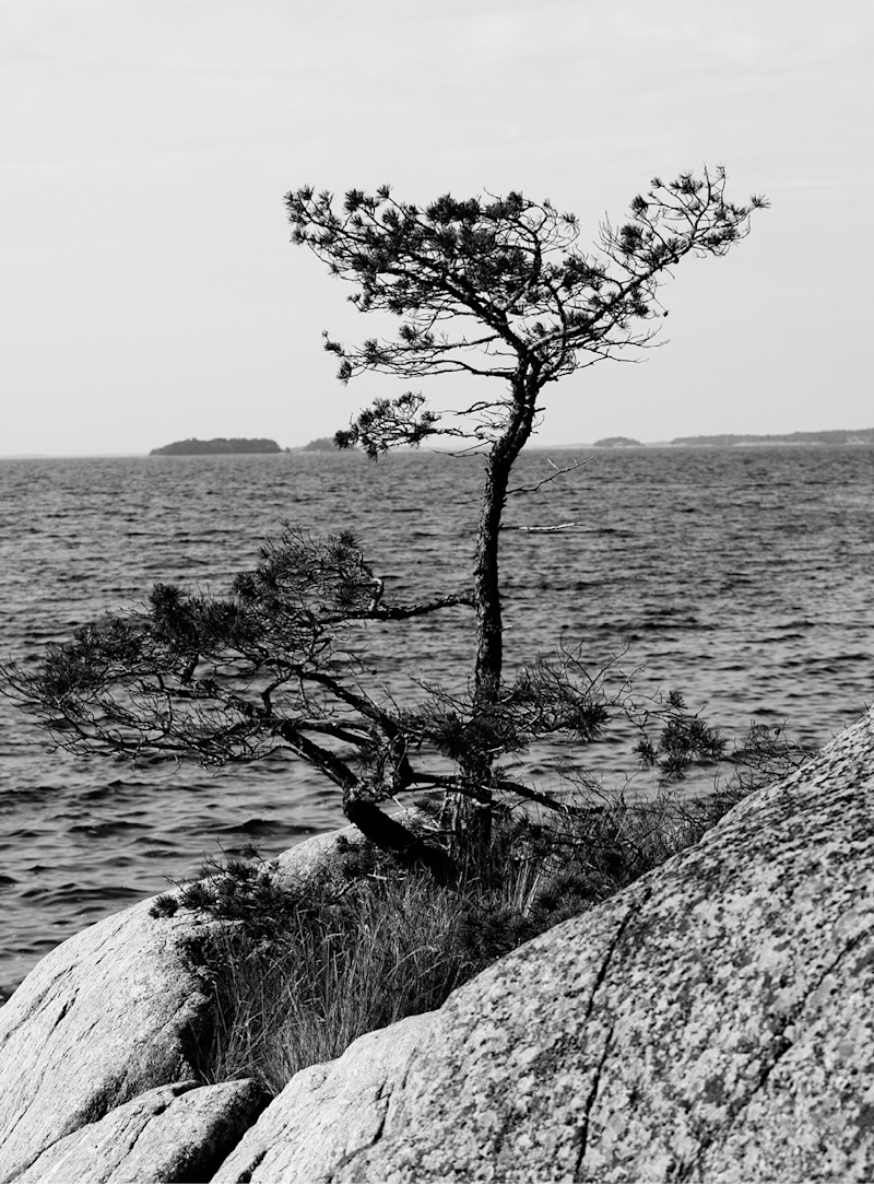 Meny-bilder-about2