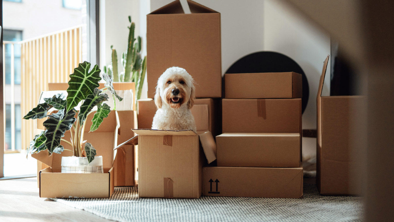 Hero Image SHB Real Estate delivers seamless employee experiences using Docusign solutions