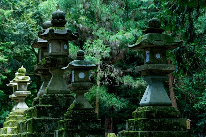 Kasugataisha Shrine 01