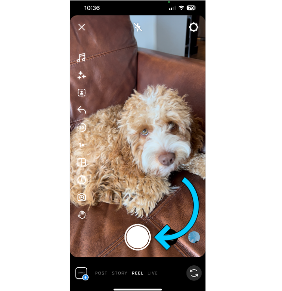 Shoot footage in the Instagram Reels Film In-app
