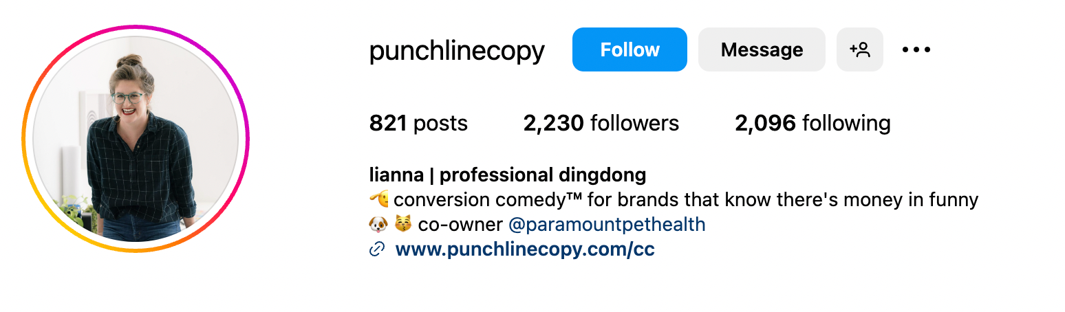 Punchline Copy Instagram Bio