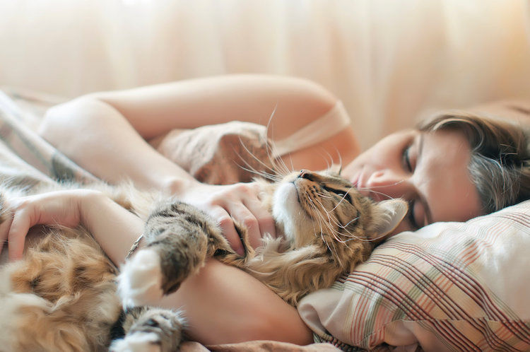 dormir_avec_son_chat