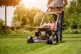The best time of day to mow grass (and when you should absolutely not)