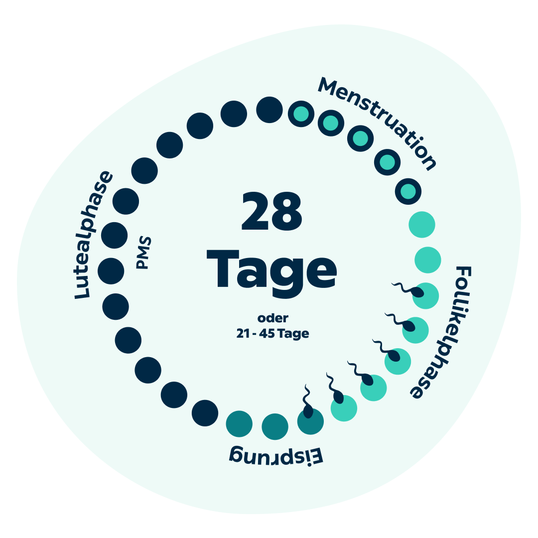 kry.de > Menstruationszyklus