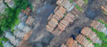 Deforestation-9.jpg