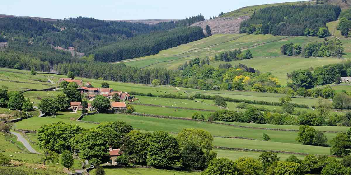 North York Moors landscape North York Moors