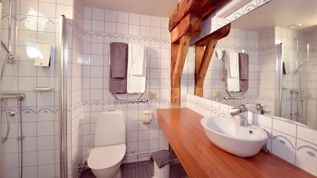 A tidy bathroom with a shower, toilet, and basin, featuring wooden beams and tiled walls.