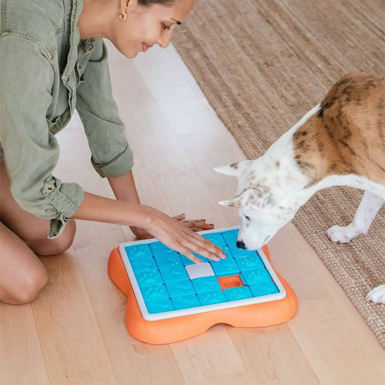 Woman and white dog playing with puzzle.