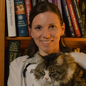 Dr. Chryle Bonk holds a vet