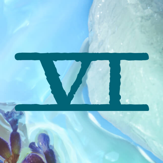 Calm Bliss numerology