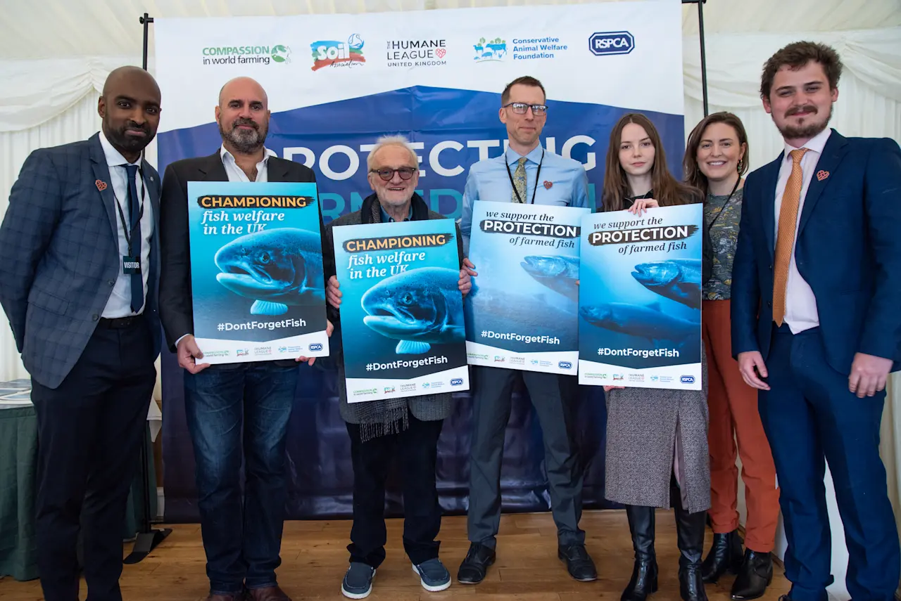 Fish parliamentary reception image 2