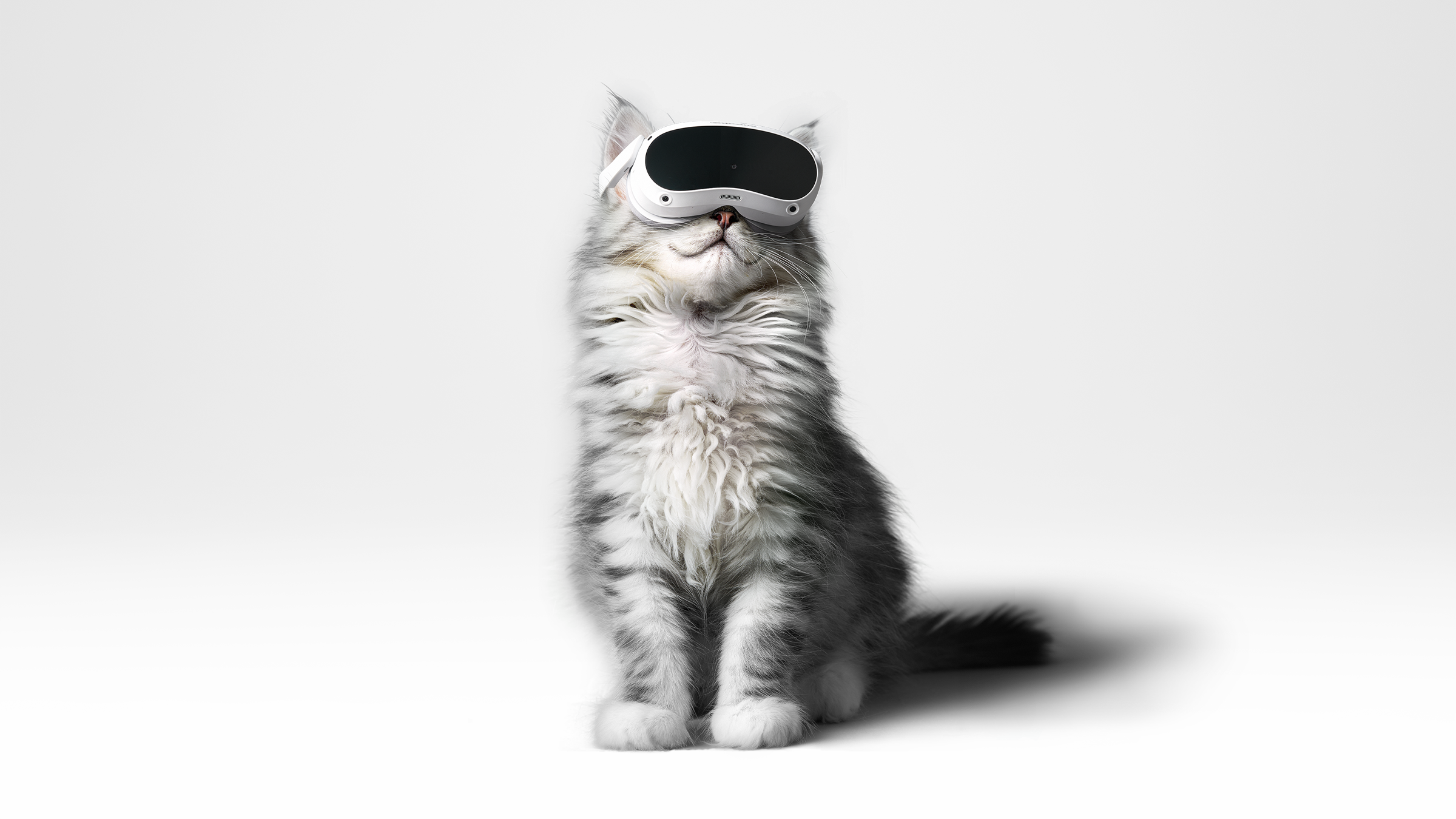 Kat met een Virtual Reality-bril op